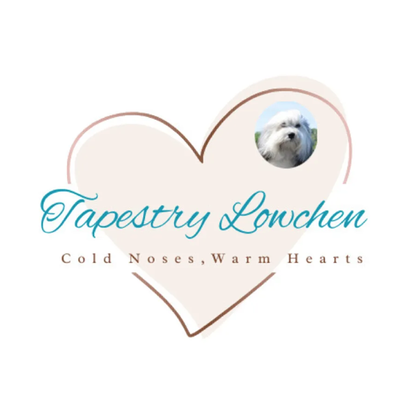 Tapestry Löwchen